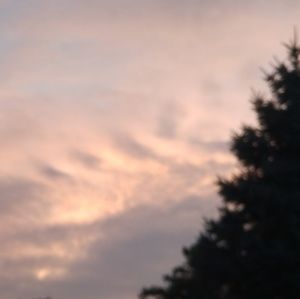 Meet your Posher, Raymond